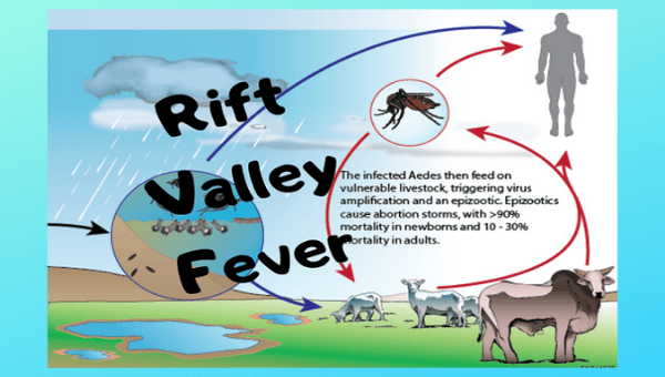 Rift Valley fever is a viral zoonotic disease endemic in East Africa. Jun. 22, 2023. 