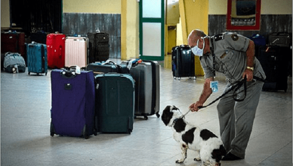 Customs official at Jose Marti International Airport. Jun. 27, 2023.
