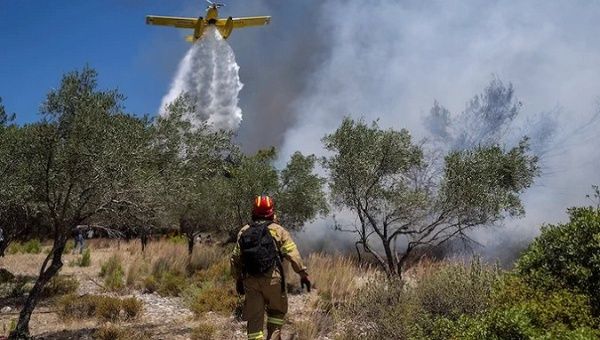 Algeria wildfires kill dozens as heat wave hits North Africa. Jul. 27, 2023. 