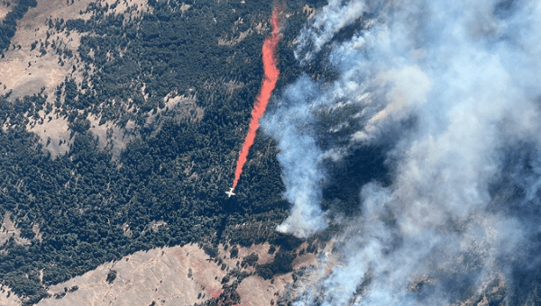 Wildfires at Upper Park Rill Creek, British Columbia, Canada, Aug. 18, 2023.