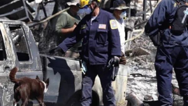 Firefighters in affected areas in Maui, Hawaii, U.S., Aug., 2023.