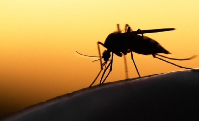 Ethiopia: Health Minister Urges Action to Combat Malaria