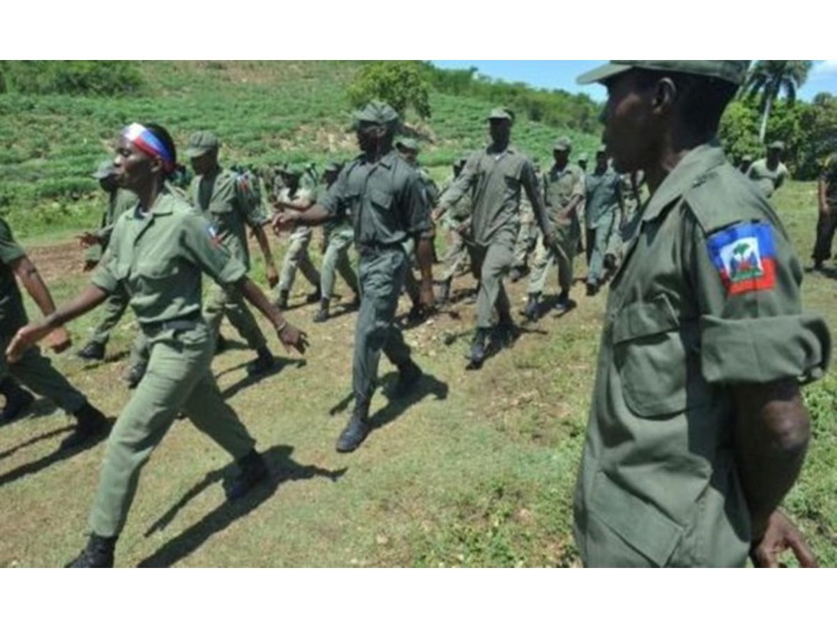 Haití: el gobierno investiga a los guardias forestales armados