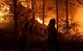 El gobernador de Valparaíso, Rodrigo Mundaca, aseguró que "está completamente confirmada" la intencionalidad de los incendios, que se estima calcinaron más de 43.000 hectáreas y afectaron a alrededor de 15.000 hogares.