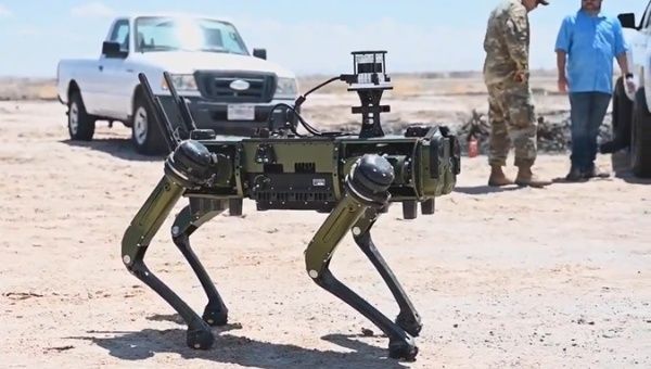 A remote-controlled robotic dog.