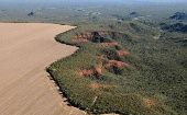 Deforestation in the Amazon basin, 2024.