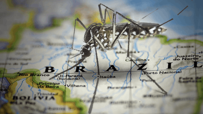 This year has been historic in the number of dengue infections in Brazil, March 22, 2024