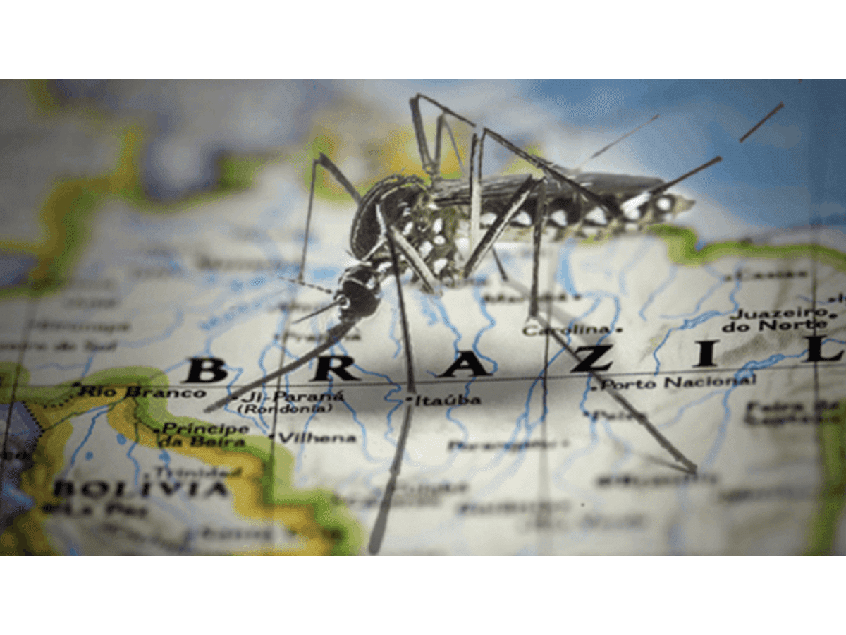 Brazil Exceeds 2 Million Infected by Dengue So Far in 2024
