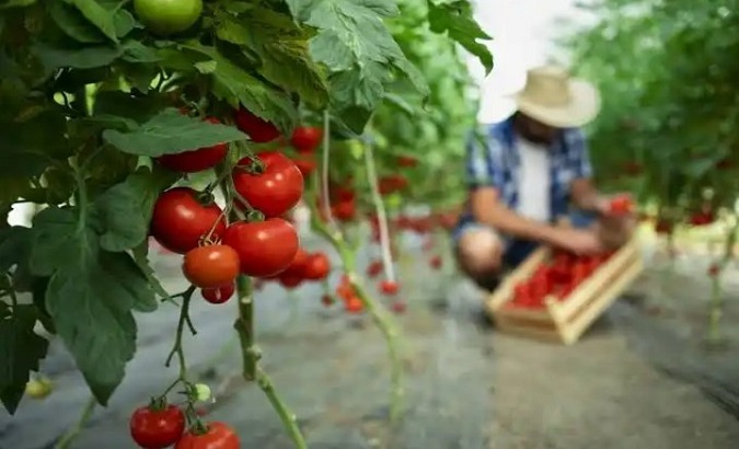 About 70 percent of the population directly and indirectly depends on agriculture for their livelihoods. Apr. 16, 2024.