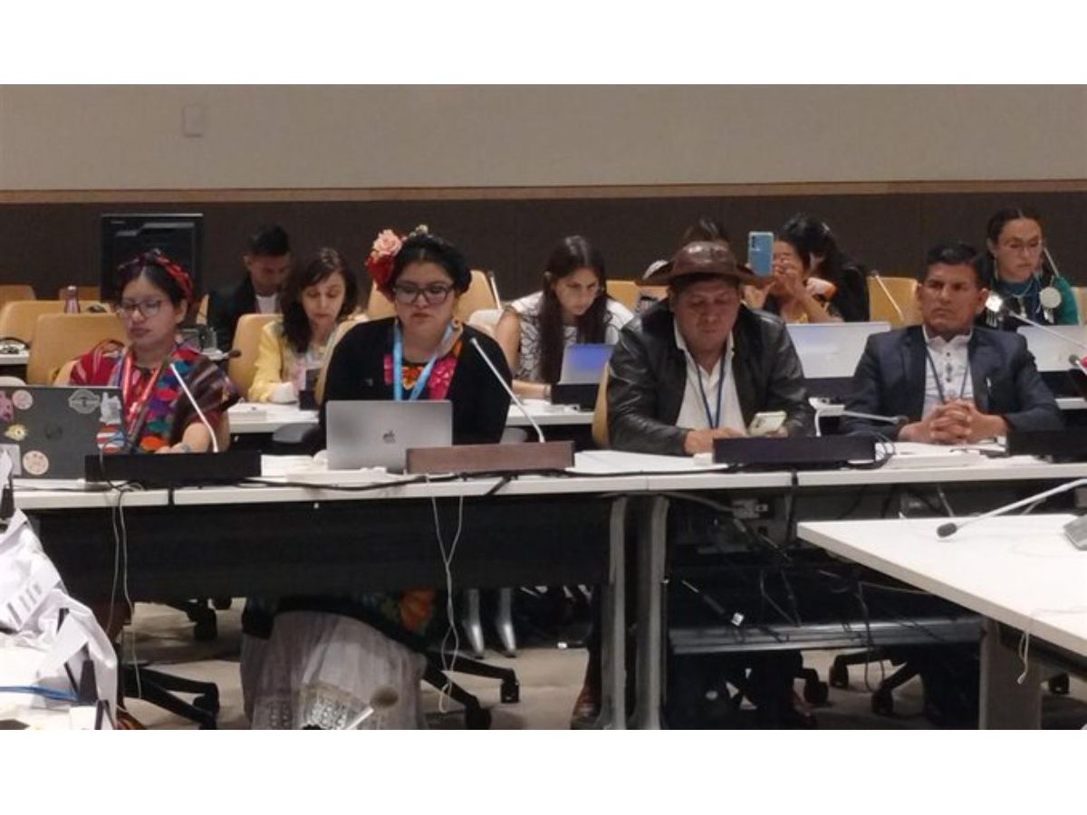 América Latina lidera debates sobre derechos de las mujeres indígenas