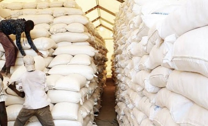 Maize is needed in the immediate response to provide relief food to some 6.6 million people. Mar. 1, 2024.