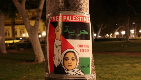 A pro-Palestine poster seen at a U.S university, May 2024.