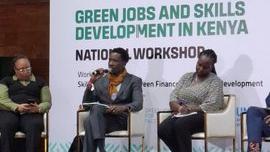 Panelists at the National Green jobs and Skills for Youth workshop, May 3, 3034