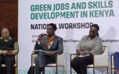 Panelists at the National Green jobs and Skills for Youth workshop, May 3, 3034
