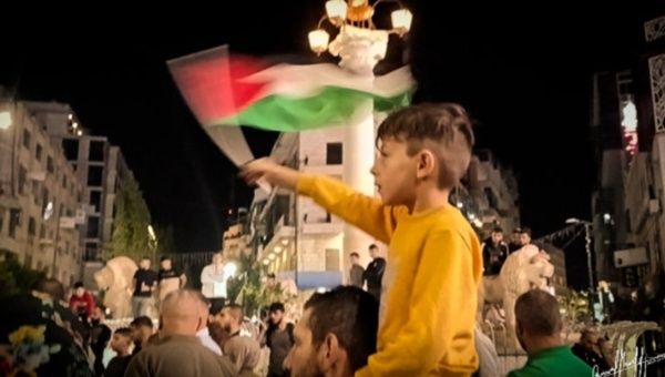 A boy waving a Palestinian flag.