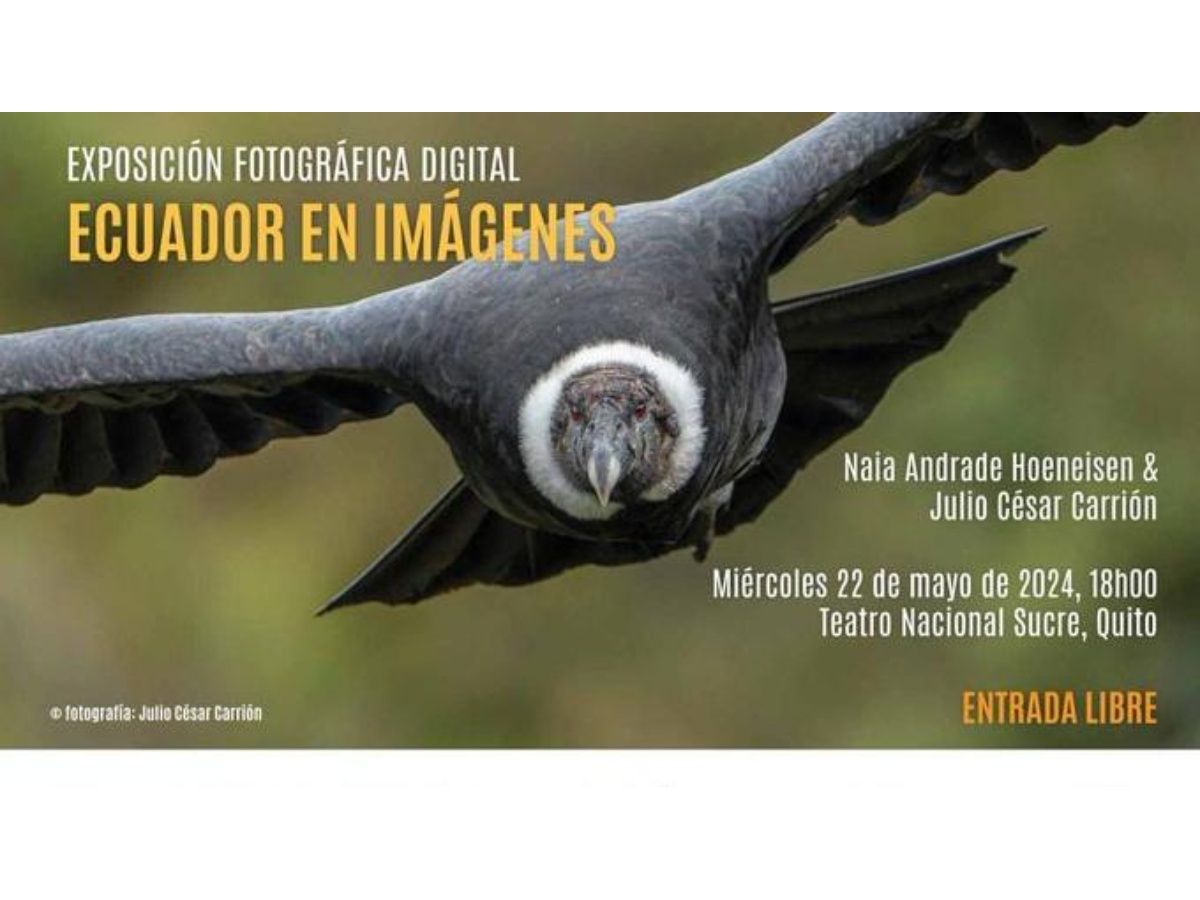 Exhibition «Ecuador in Images»: A Journey Through Biodiversity