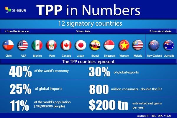 The TPP in Numbers